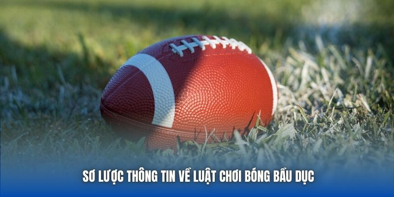 Sơ lược thông tin về luật chơi bóng bầu dục