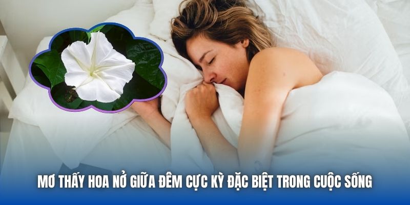 Mơ thấy hoa nở giữa đêm cực kỳ đặc biệt trong cuộc sống 